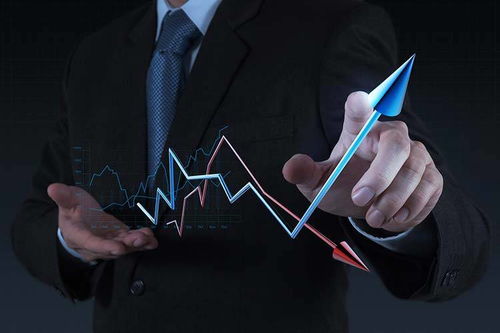 拓商之道 拼多多運(yùn)營(yíng)實(shí)戰(zhàn)攻略，告別“沒(méi)流量”困境的站內(nèi)推廣秘笈